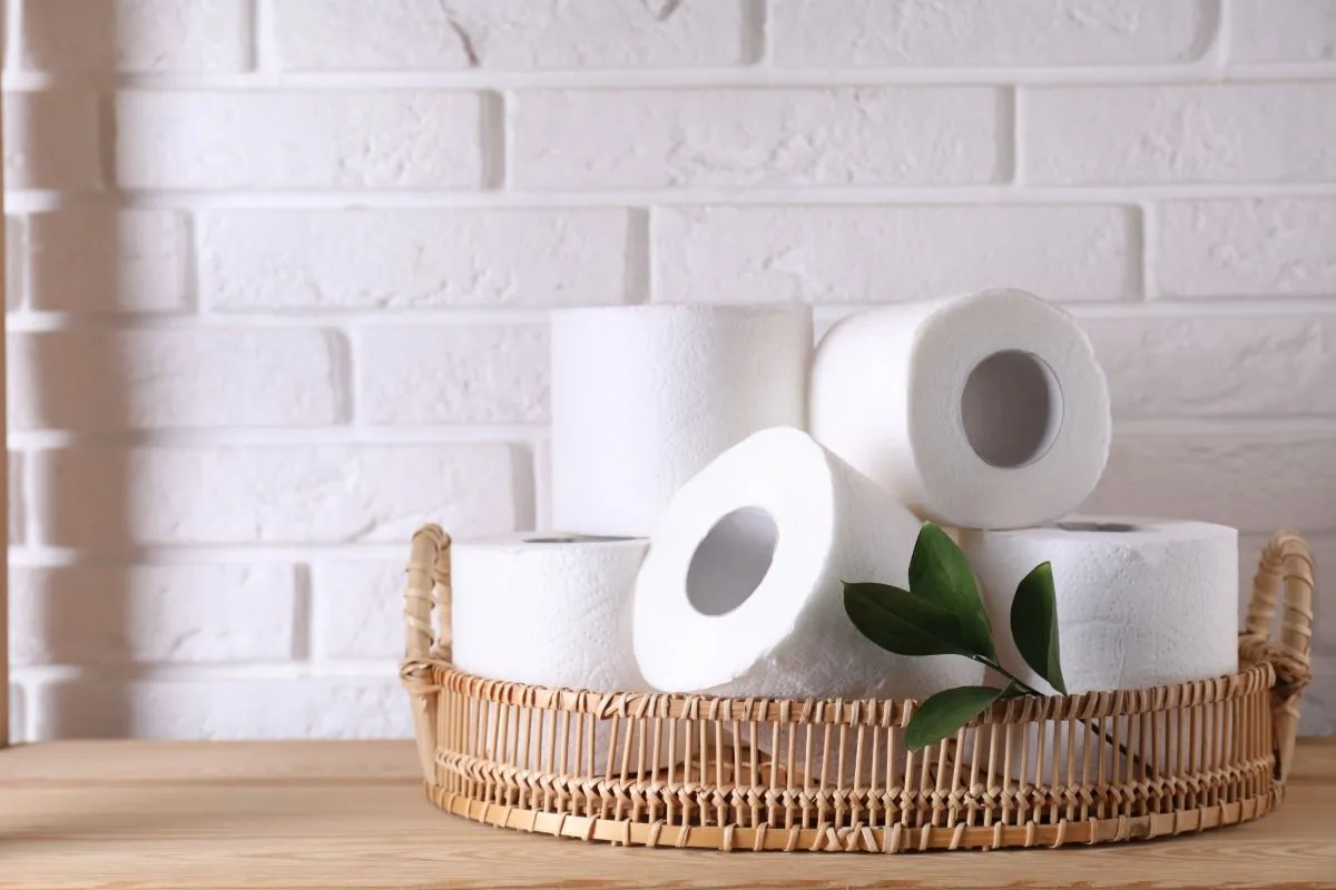 Opkomst van de toiletrolbrandingsrage op TikTok